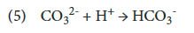 Large image of Equation 5